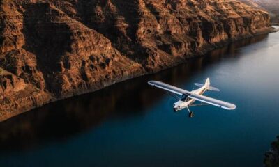 What Are Bush Airplanes and What Makes Them Unique?